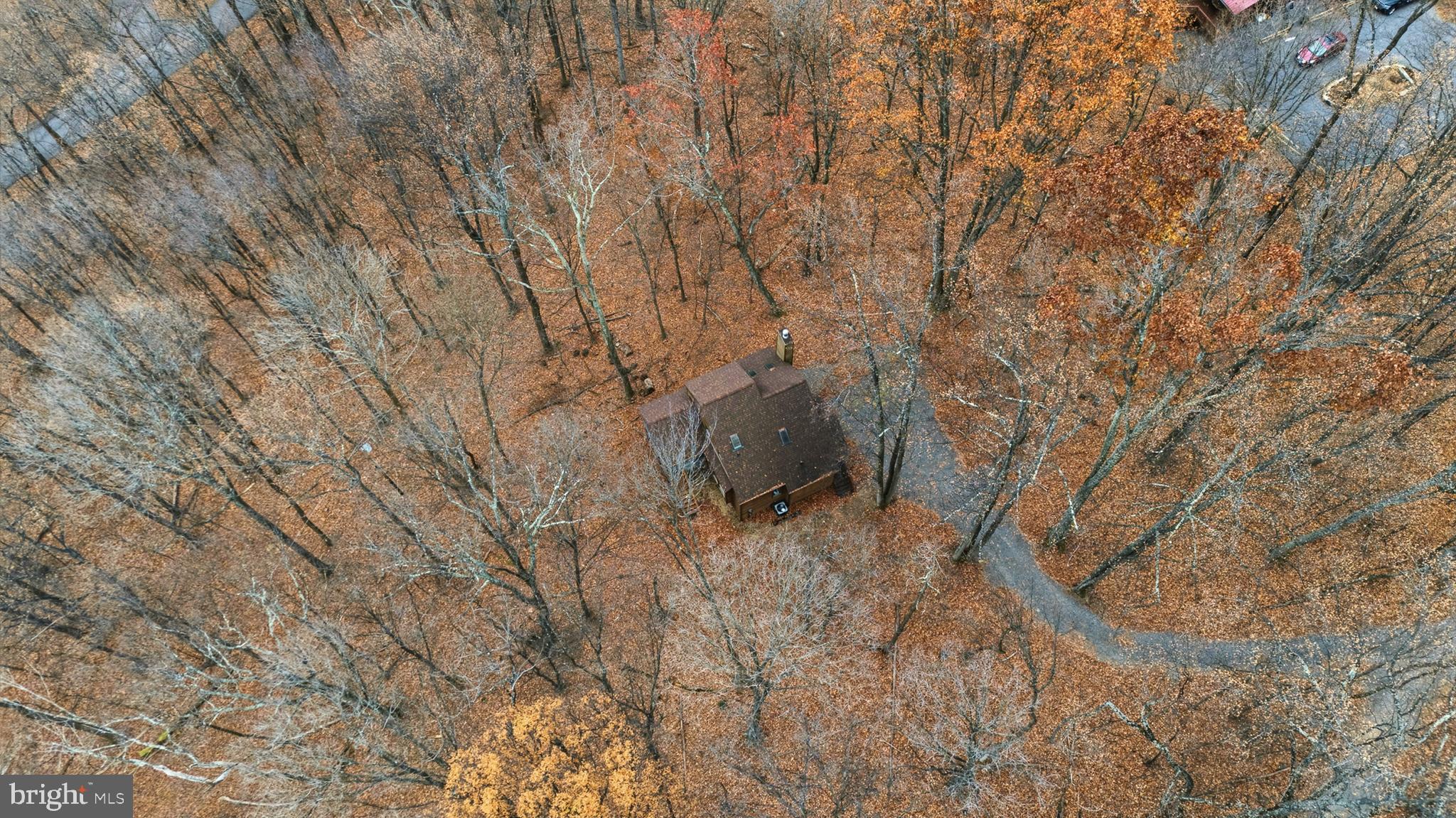 16 Gopher Trail Berkeley Springs, WV 25411 - Photo 50 of 52 a backyard of a house with lots of green space
