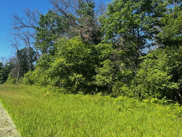 1 M-37 Baldwin, MI 49304 - Photo 3 of 15