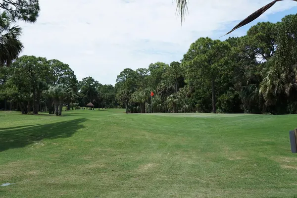 a view of a grassy field