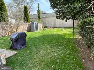 a view of a garden with a tree