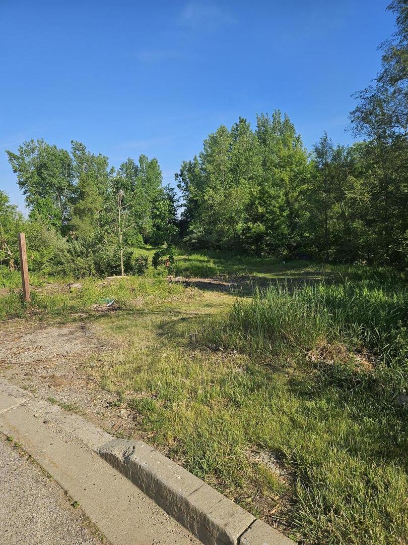 Lot 1 Richmond Road North McHenry, IL 60050 - Photo 8 of 10