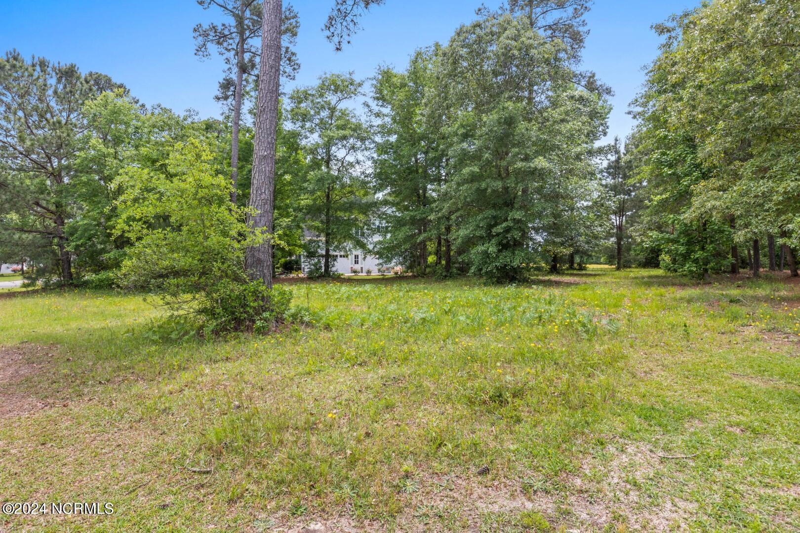 198 Cellars Way Wallace, NC 28466 - Photo 3 of 23 002_198_cellars_way-2 (Large)