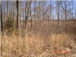 43 Wooden Loop Road Pikeville, TN 37367 - Photo 1 of 5 Primary Photo