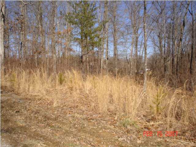 43 Wooden Loop Road Pikeville, TN 37367 - Photo 3 of 5 Additional Photo