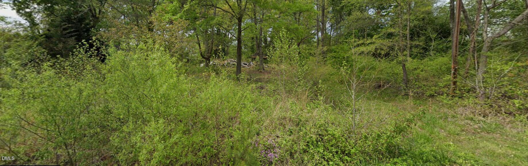 a view of a lush green forest