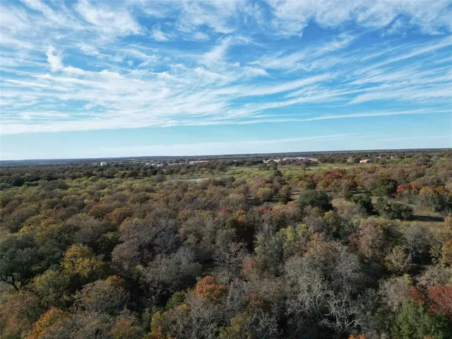 a view of a lake in middle of forest