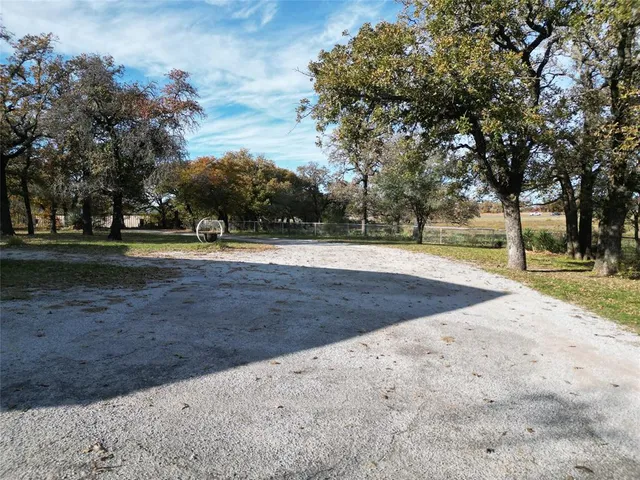 a view of dirt yard with large trees