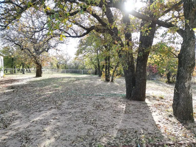 a view of a yard with a tree