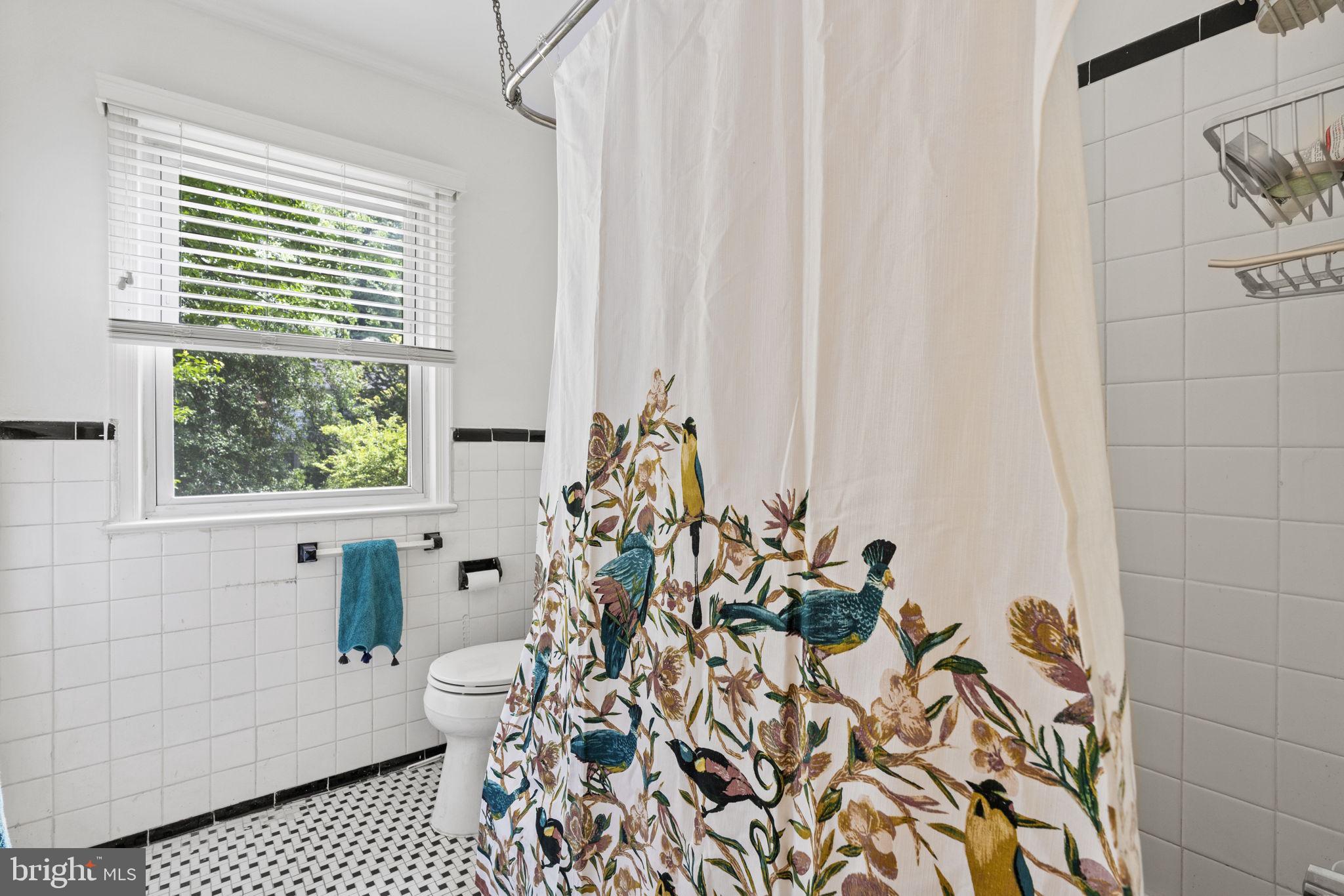 8520 Bradford Road, Unit 44 Silver Spring, MD 20901 - Photo 12 of 24