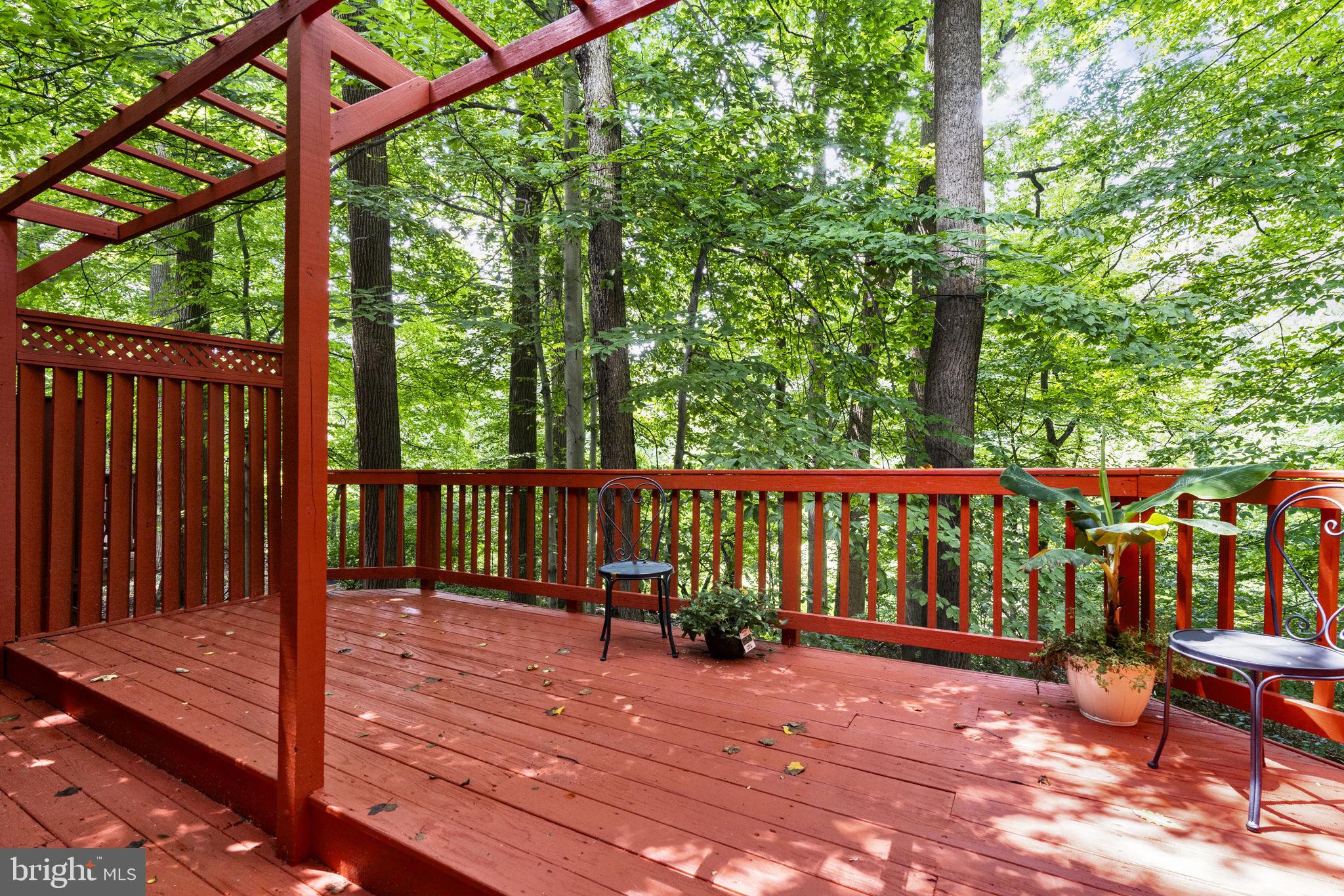 8520 Bradford Road, Unit 44 Silver Spring, MD 20901 - Photo 17 of 24