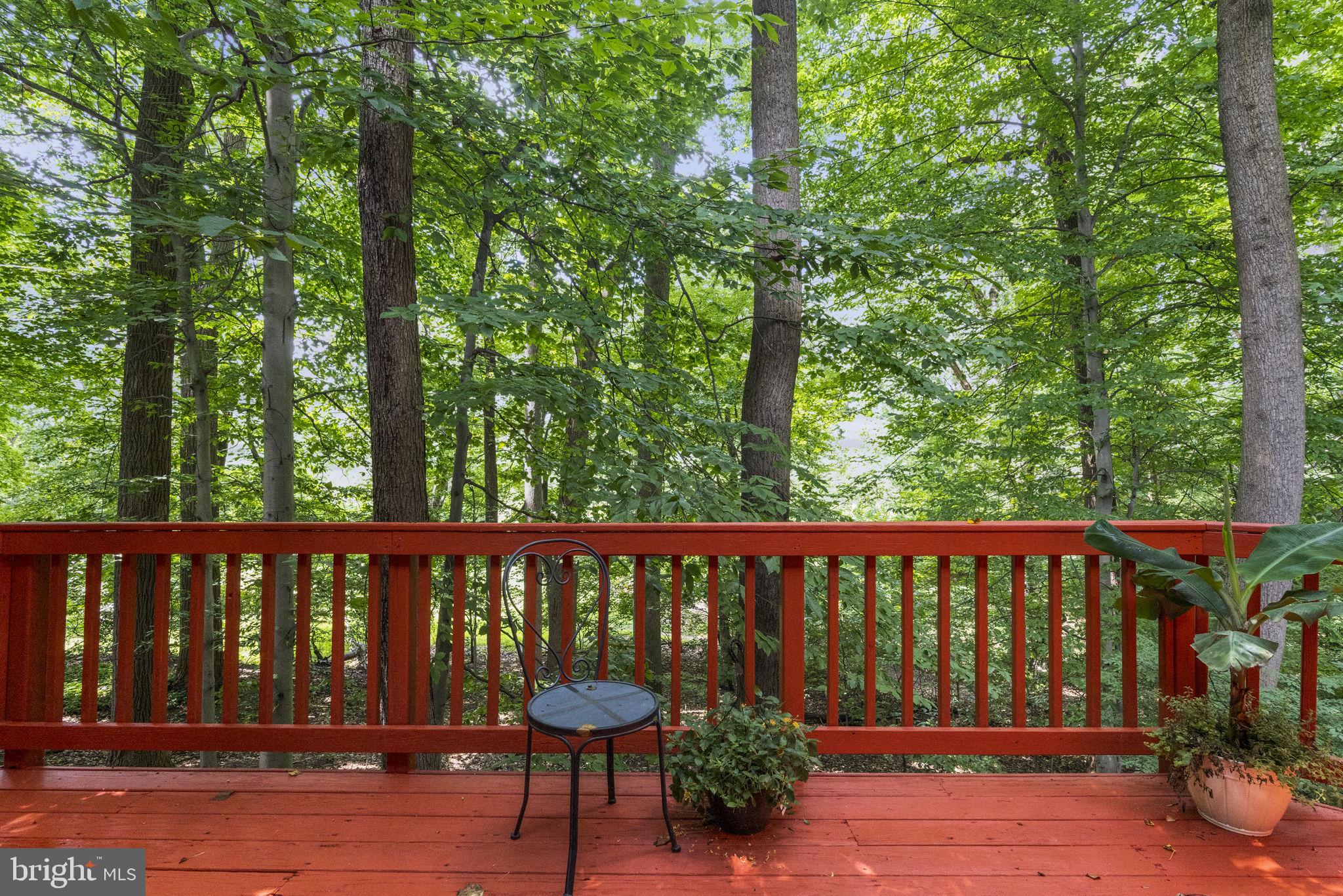 8520 Bradford Road, Unit 44 Silver Spring, MD 20901 - Photo 19 of 24