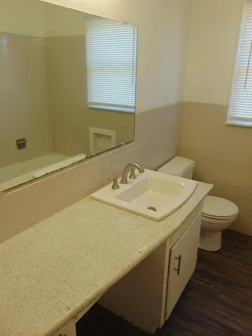 a bathroom with a sink and a toilet