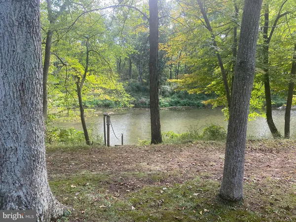 a backyard of a house with large trees and lake view