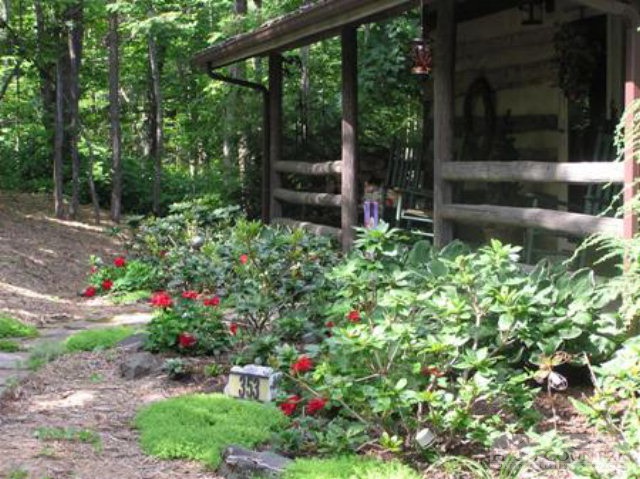 353 Old Mill Road Todd, NC 28684 - Photo 17 of 26 Gallery Image 17