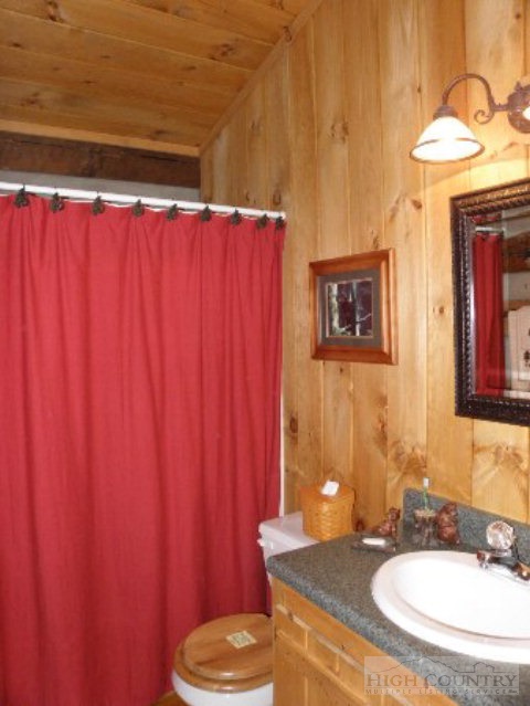 353 Old Mill Road Todd, NC 28684 - Photo 5 of 26 Gallery Image 5