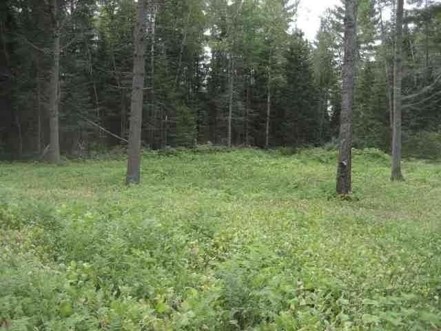 4720 Boyer Road Mercer, WI 54547 - Photo 16 of 20 Gallery Image 16