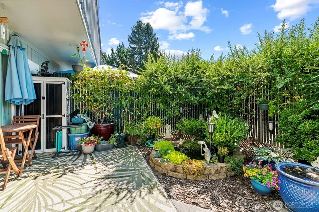 a view of a backyard with plants and a patio