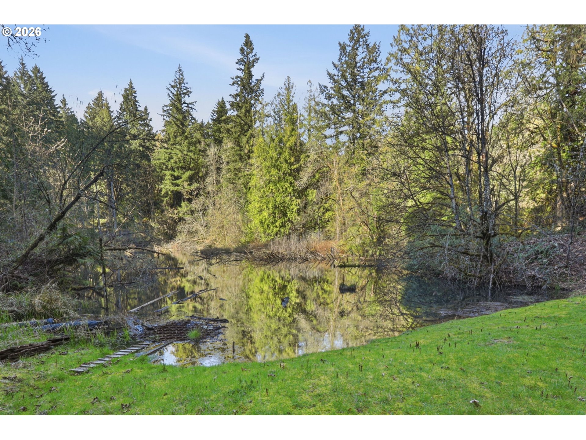 South Ringo Road Mulino, OR 97042 - Photo 8 of 47