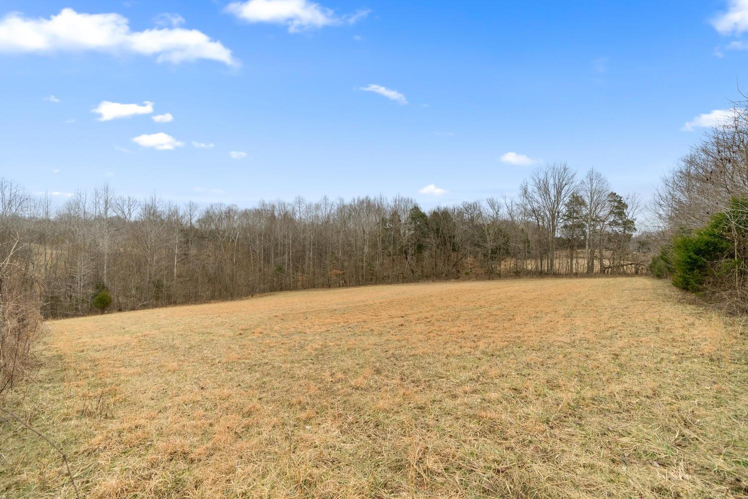 2448 Graham Cemetery Road Clarksville, TN 37043 - Photo 22 of 24 a view of an ocean beach