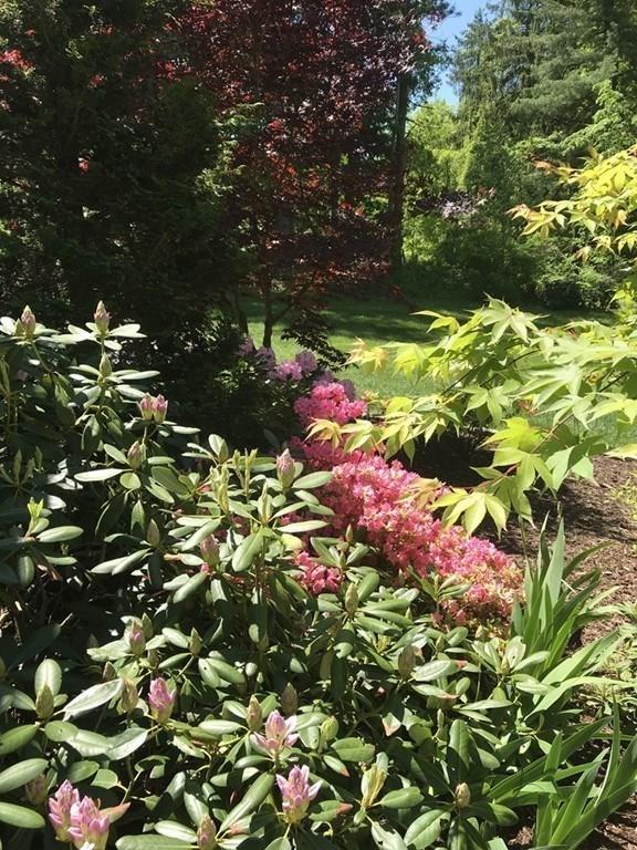 203 Ruggles Street Westborough, MA 01581 - Photo 24 of 32 Gallery Image 24