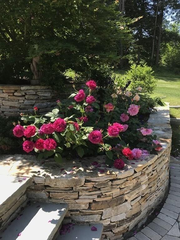 203 Ruggles Street Westborough, MA 01581 - Photo 29 of 32 Gallery Image 29