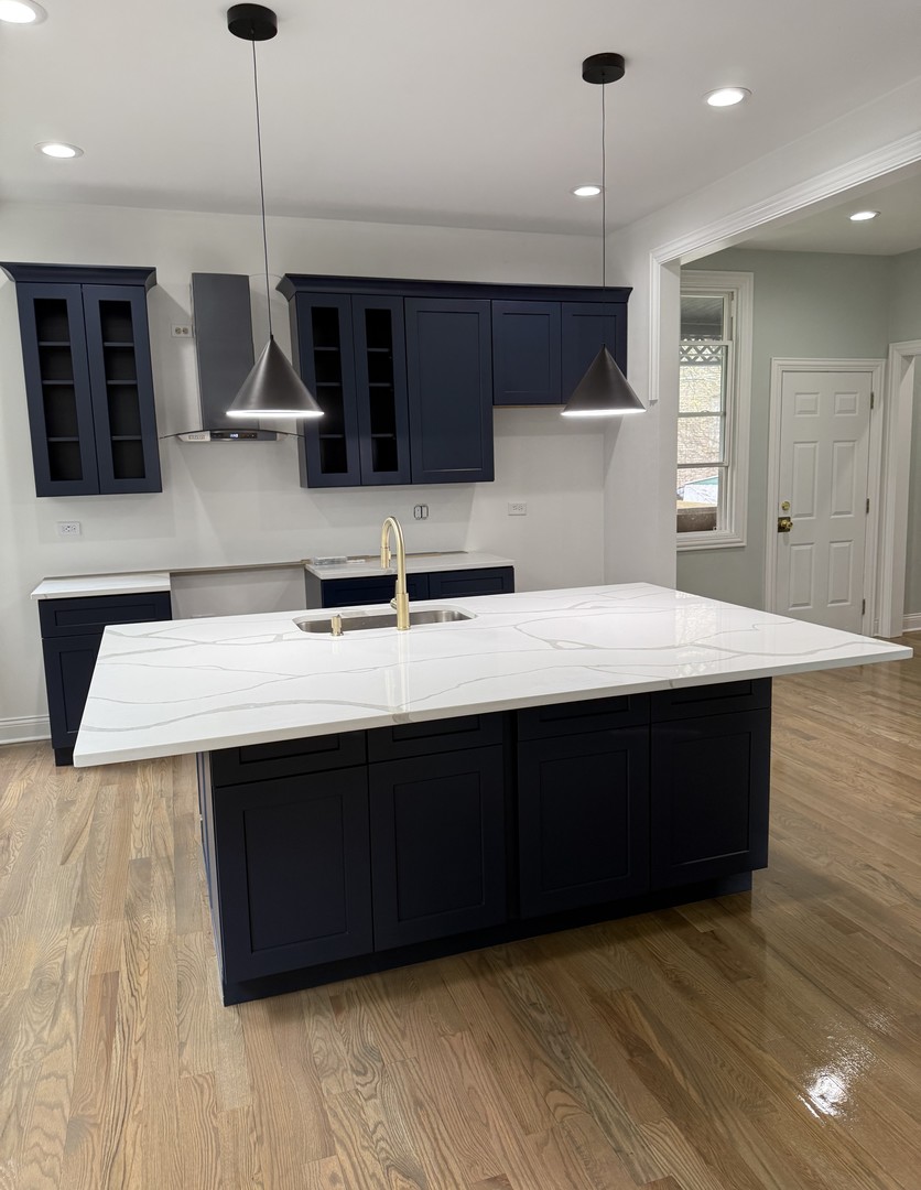 443 West 61st Place Chicago, IL 60621 - Photo 8 of 13