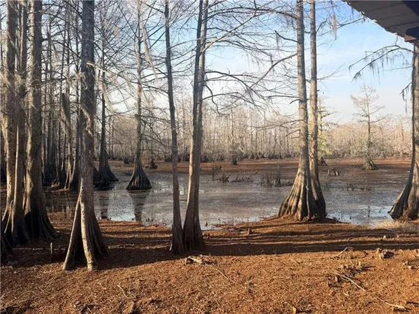 $299,000 | 568-572 Hog Island Road, Dry Prong, LA 71423