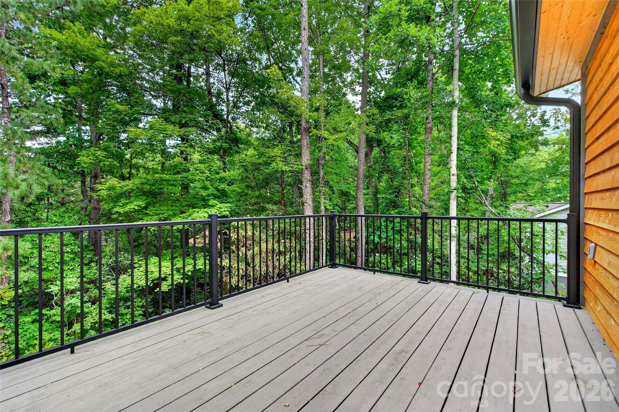 78 Tupper Road Black Mountain, NC 28711 - Photo 41 of 43