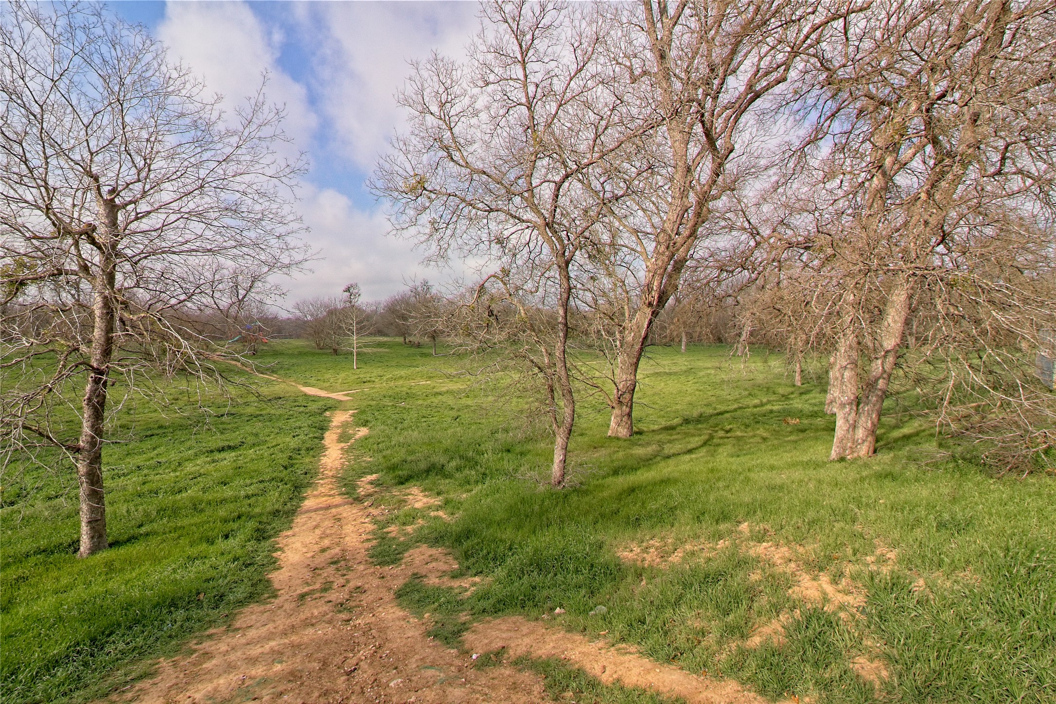 3408 Tilmon Ln. Austin, TX 78725 - Photo 34 of 35 View of grassy yard
