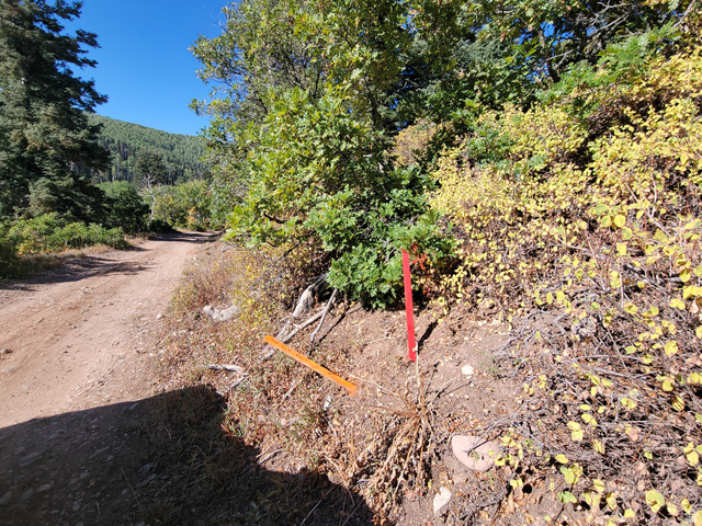 1920 Elk Road, Unit 78 Coalville, UT 84017 - Photo 16 of 16 Dirt road winding through varied foliage, including mature trees and yellowing shrubs