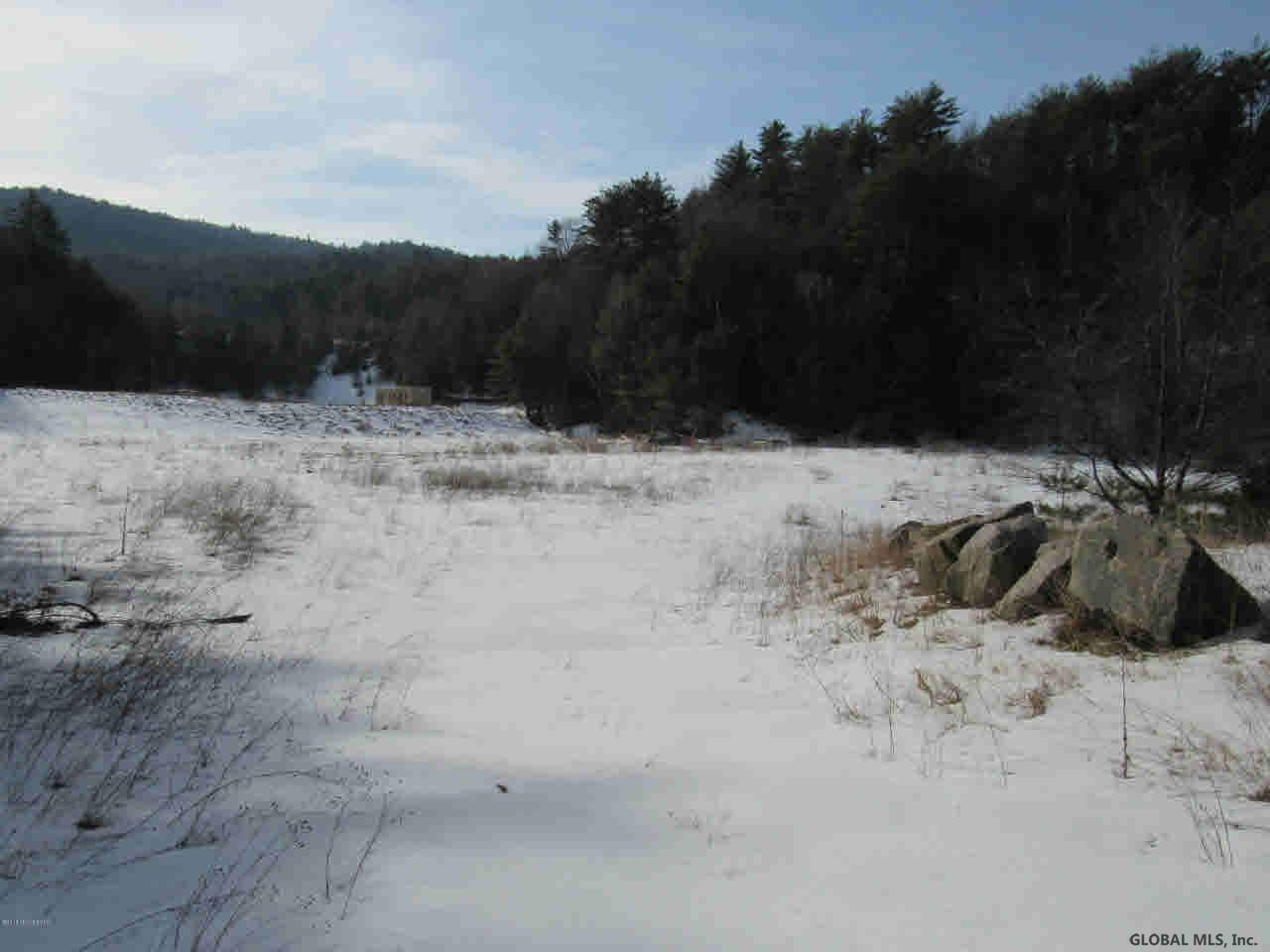 0 Baker Rd Lake Lake George, NY 12845 - Photo 9 of 12 Photo 9