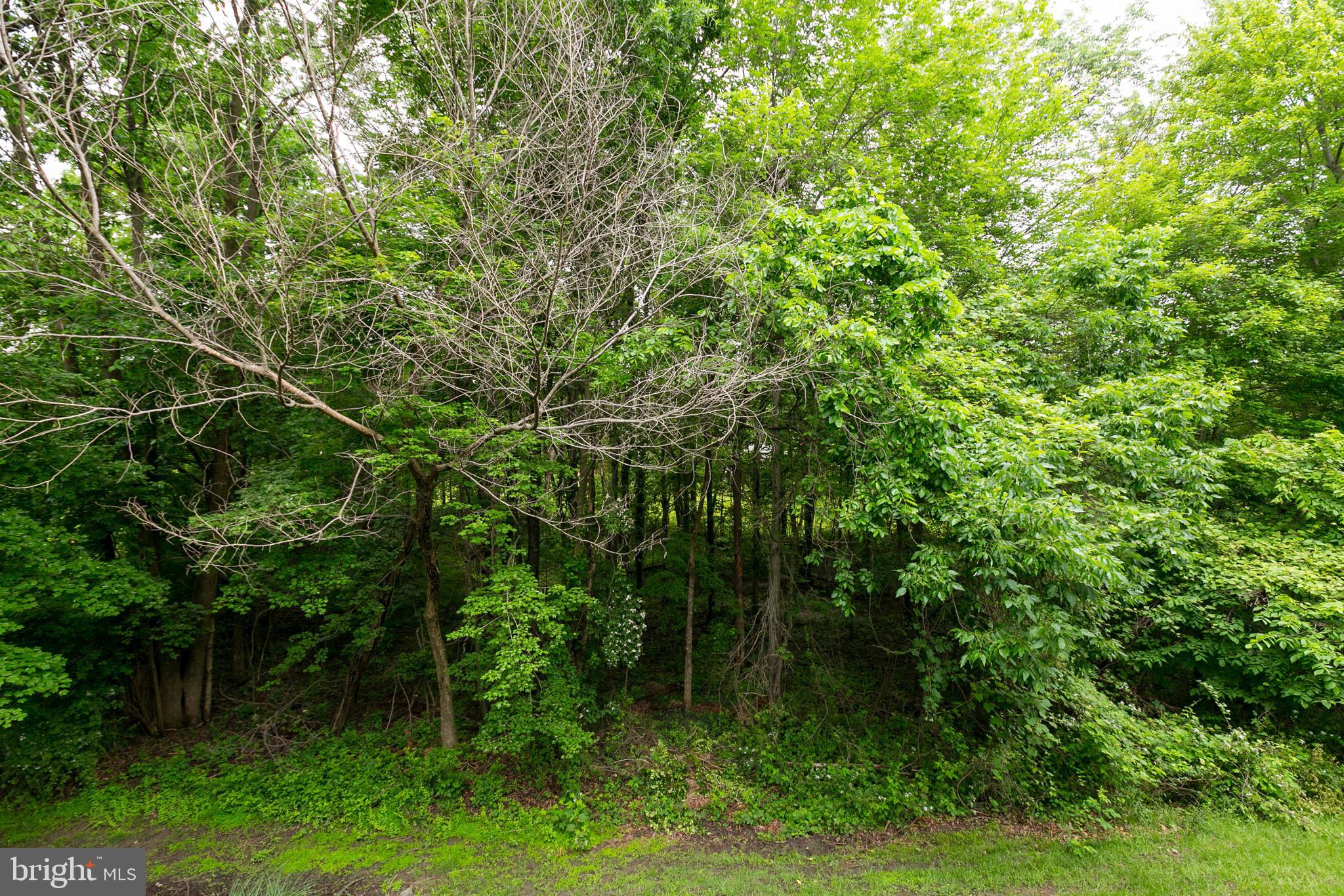 2012 Masters Drive Baltimore, MD 21209 - Photo 38 of 40