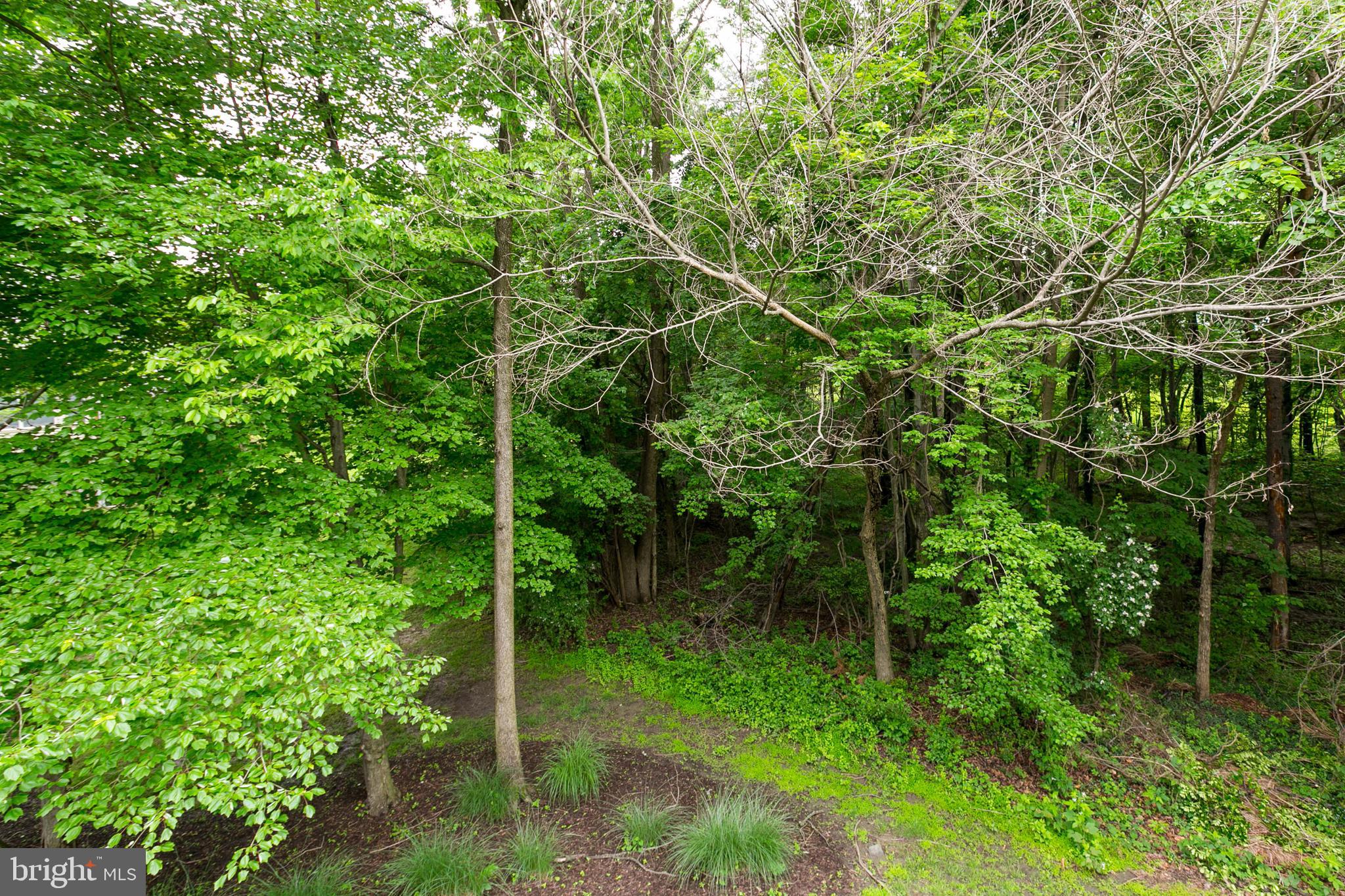 2012 Masters Drive Baltimore, MD 21209 - Photo 39 of 40