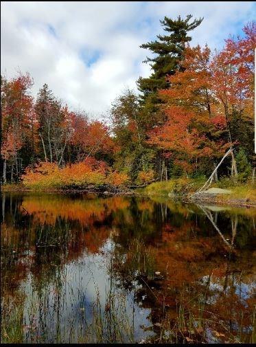 630 Red Bridge Road Ellsworth, ME 04605 - Photo 2 of 20 Photo