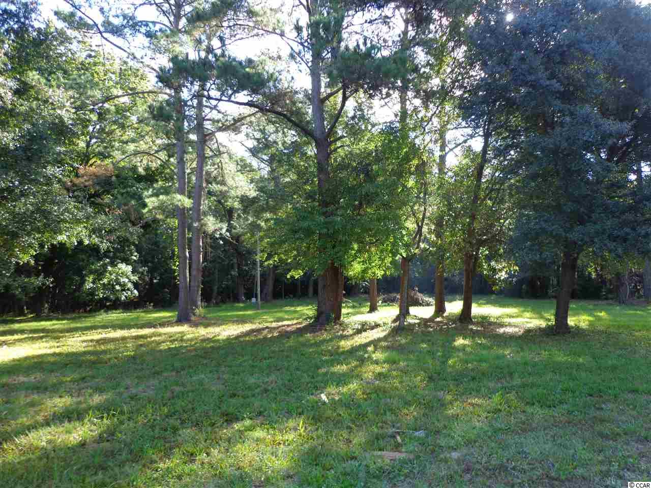 Lot 32 Riverside Drive North Myrtle Beach, SC 29582 - Photo 3 of 5 Gallery Image 3