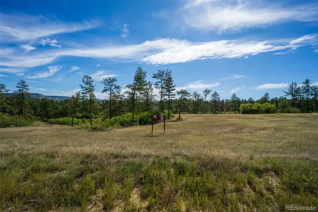 a view of outdoor space and city view