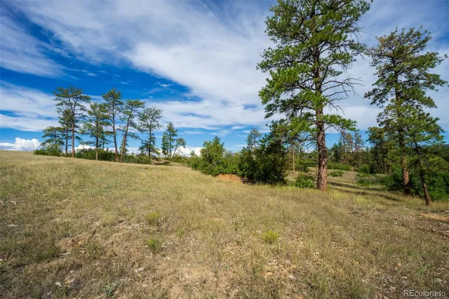 a view of a yard with an trees