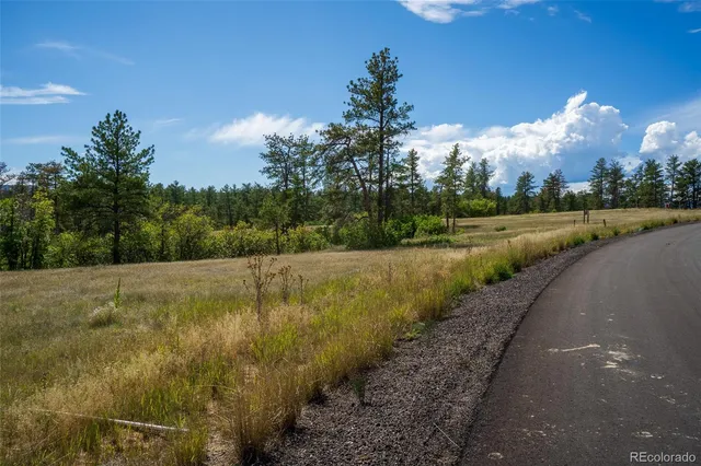 a view of a pathway both side of grassy field with shrub