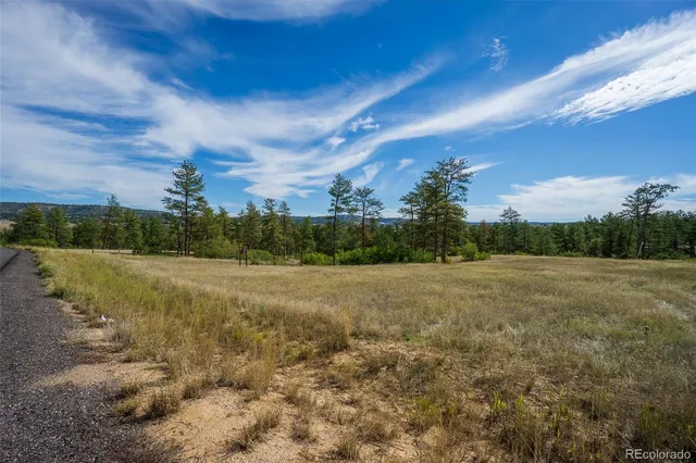 a view of a field with an trees