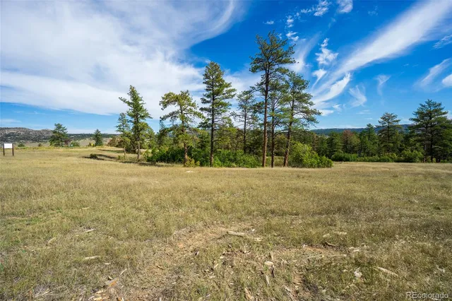 a view of a field with ocean view