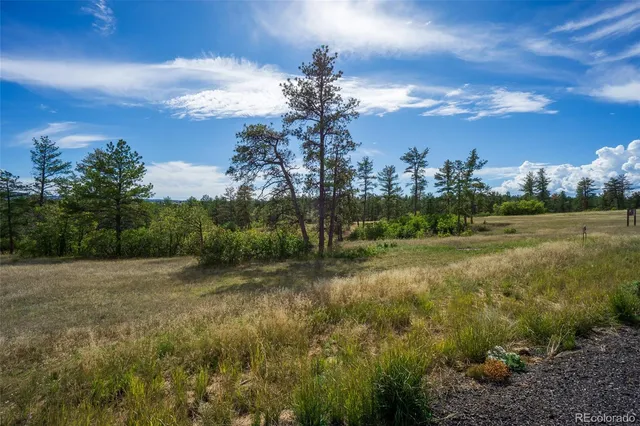 a view of a field with green space