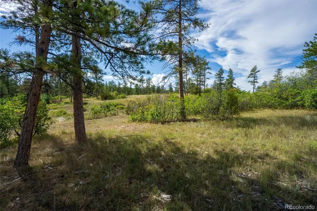 a view of a yard with lots of green space and trees