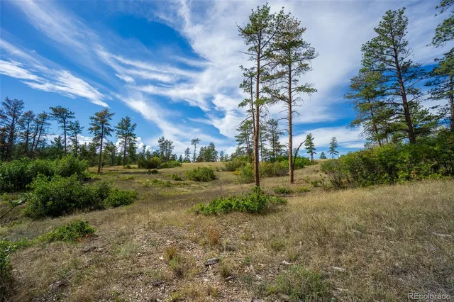 a view of a field with sitting area