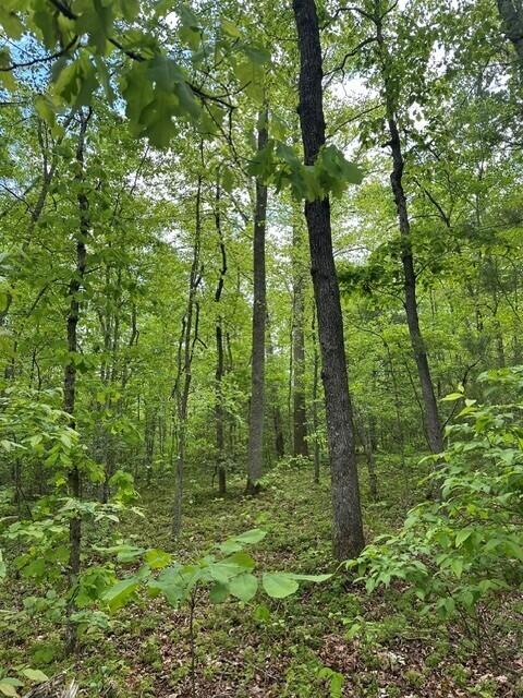142 Cole Road Deer Lodge, TN 37726 - Photo 38 of 77 43