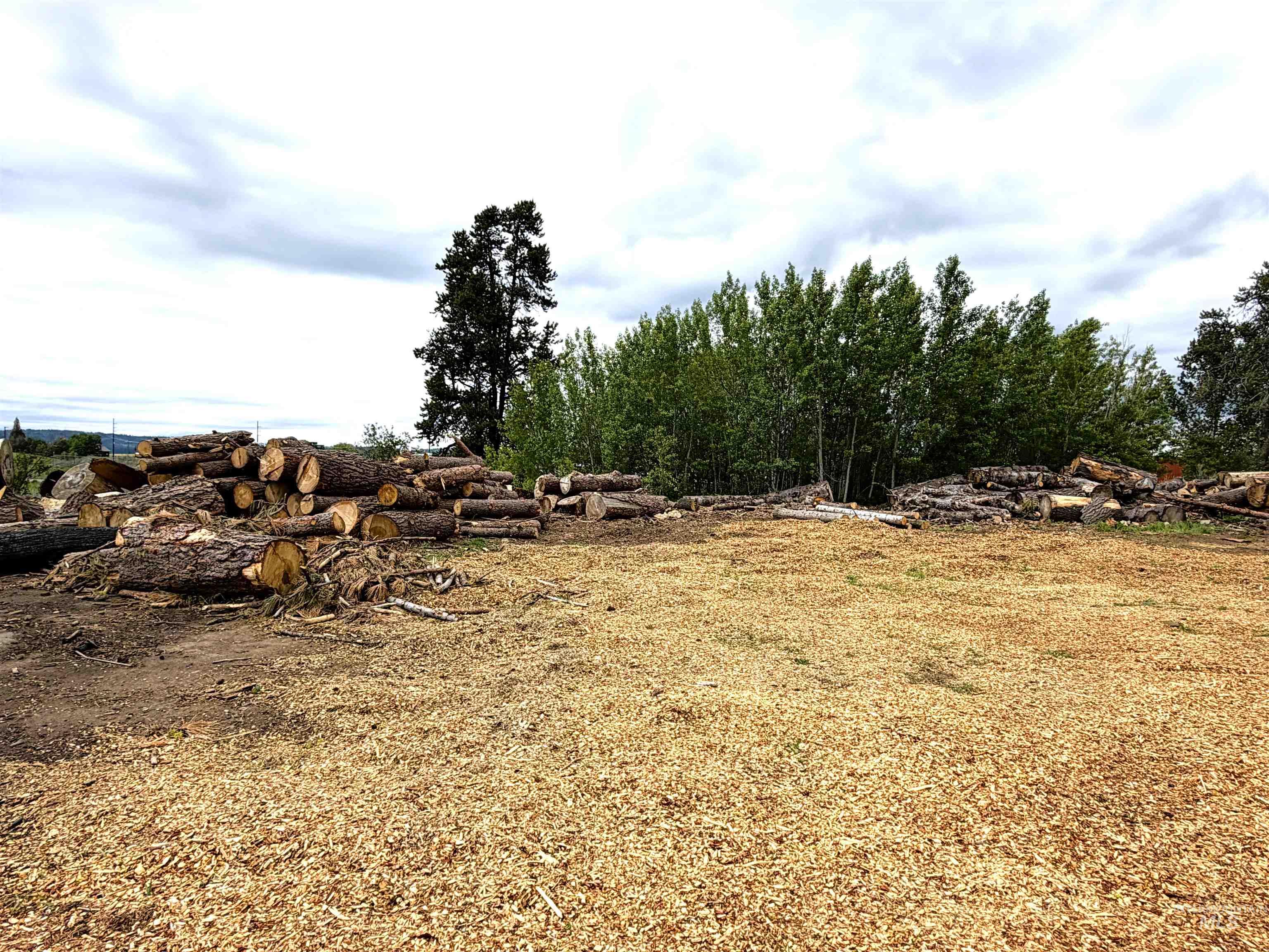 14031 Highway 55 McCall, ID 83638 - Photo 4 of 8