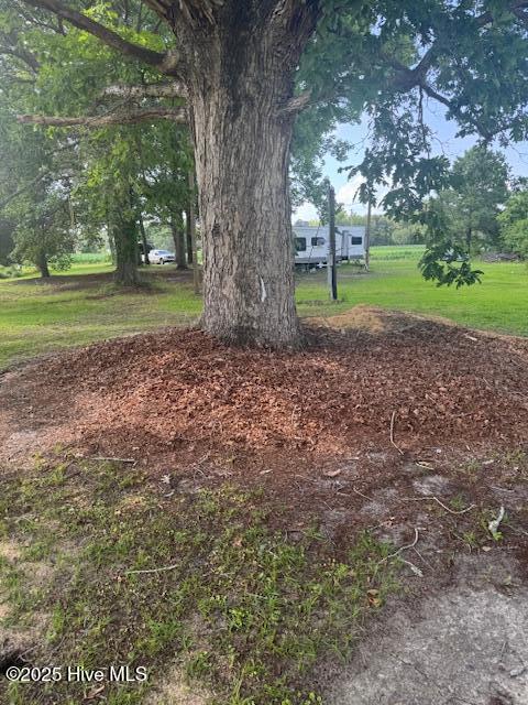 6320 River Road Vanceboro, NC 28586 - Photo 3 of 3 Tree with BFE of 15' plus 2' freeboard marked. Location Nail with white ribbon