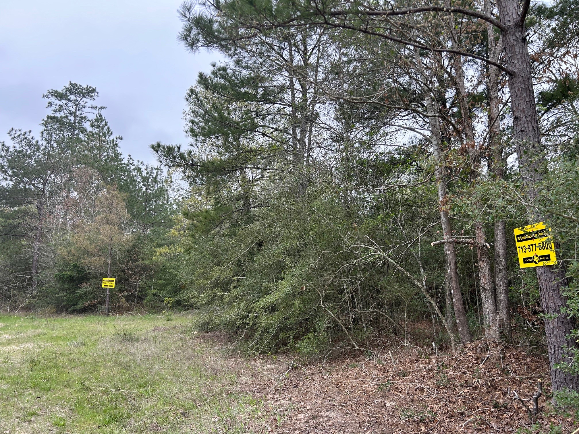 0 Unassigned Name Willis, TX 77378 - Photo 5 of 11 a view of a basketball court