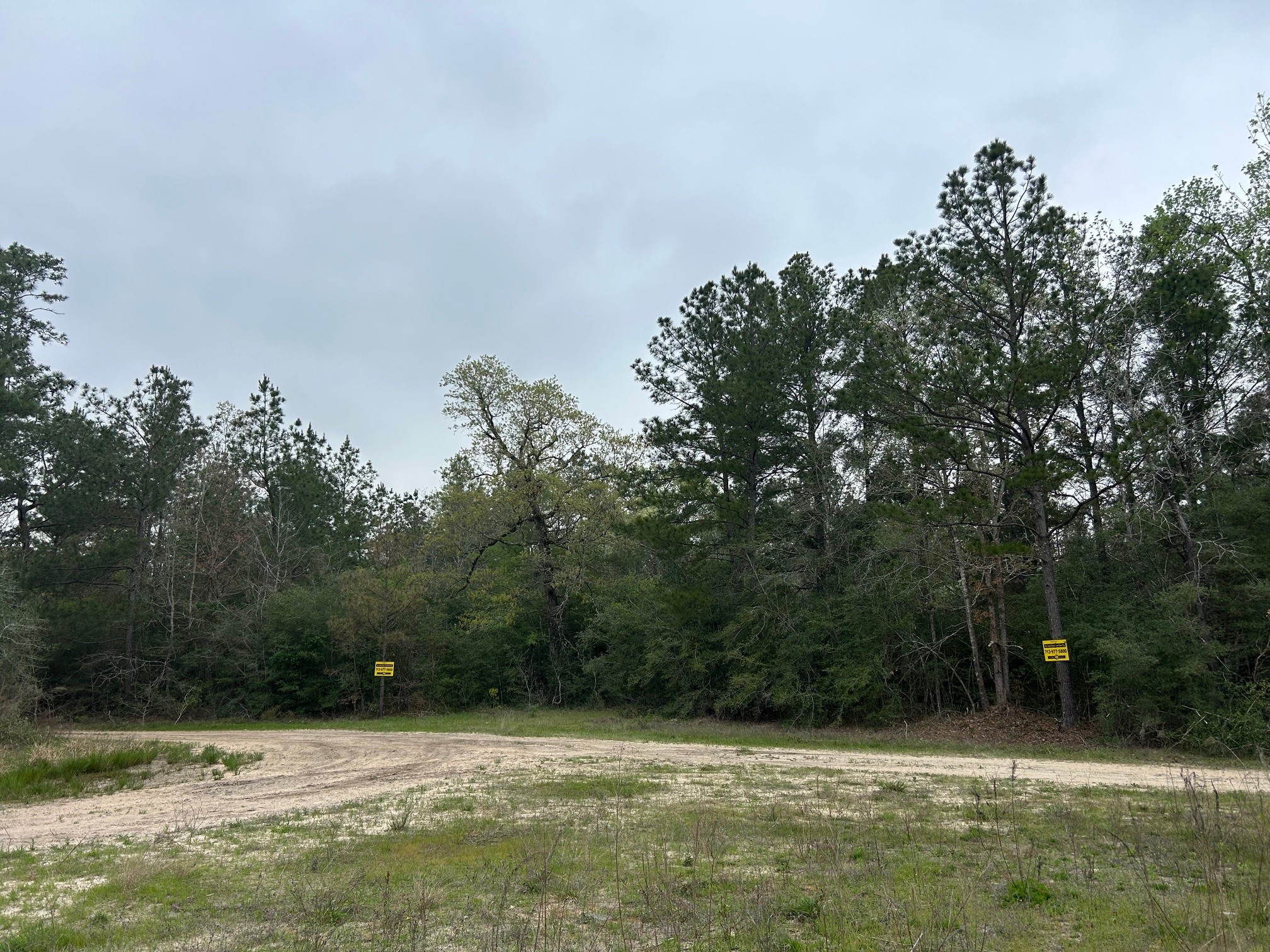 0 Unassigned Name Willis, TX 77378 - Photo 6 of 11 a view of a green yard