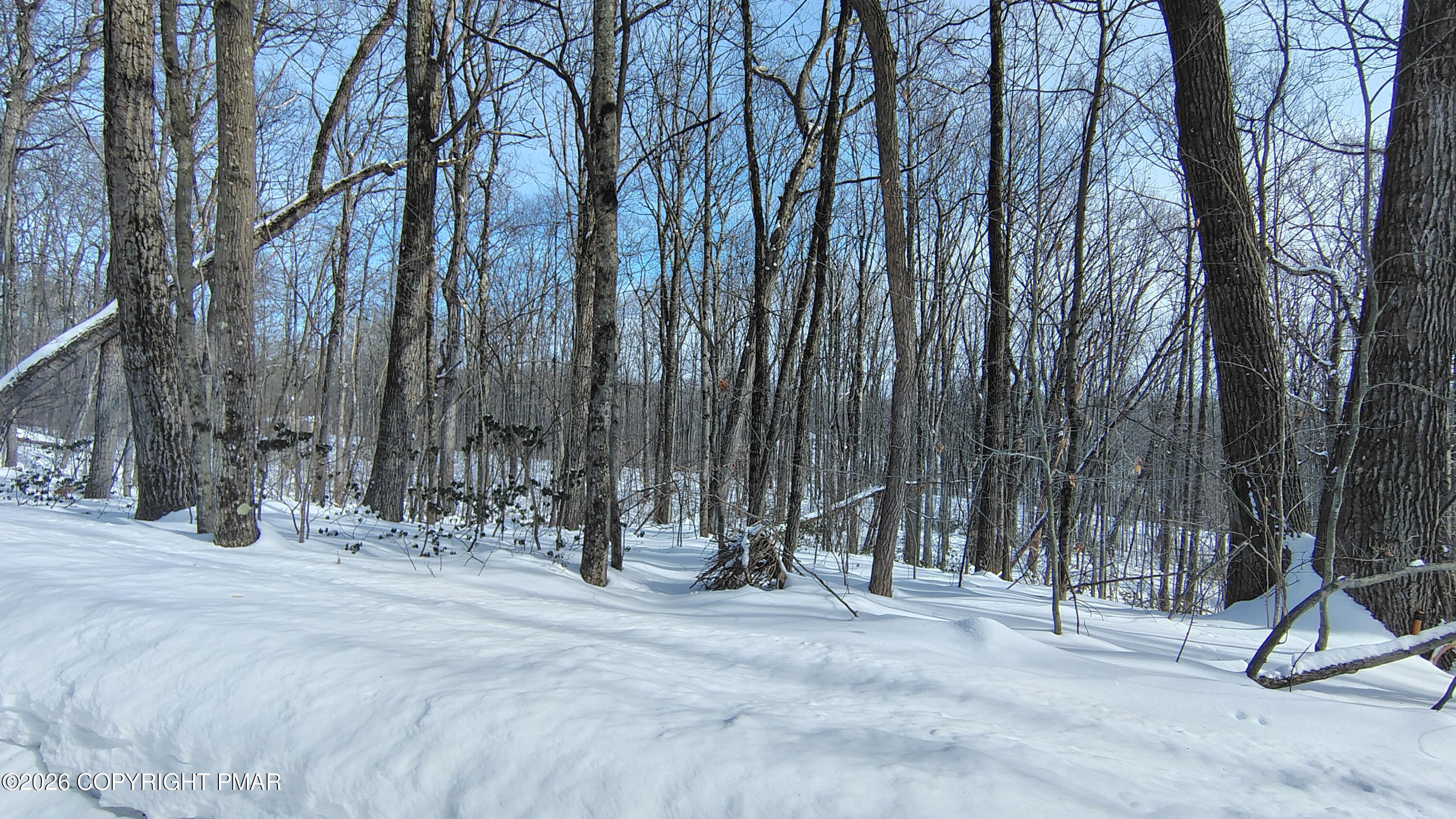 73 Oak Lane Waymart, PA 18472 - Photo 2 of 5 a view of a park with trees