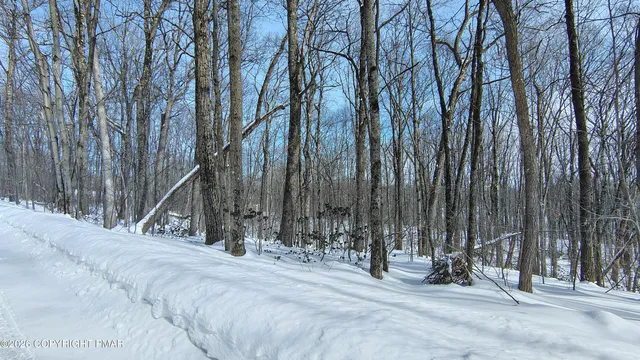 a view of a barn with a large trees